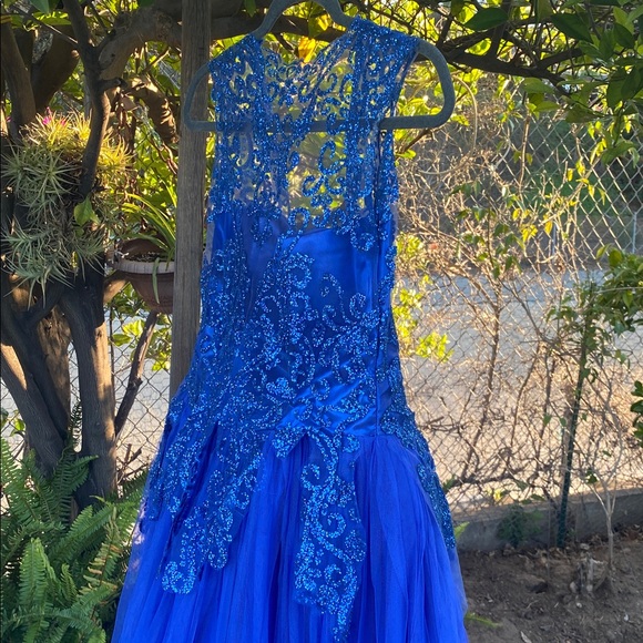 Royal Blue Lace & Tulle Floor-Length Ball Gown with Built-In Petticoat - Picture 13 of 17